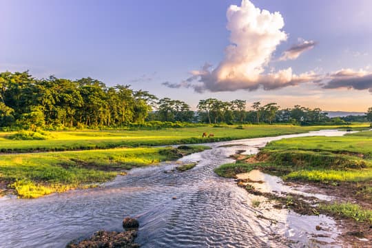 chitwan
